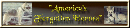 America's Forgotten Heroes